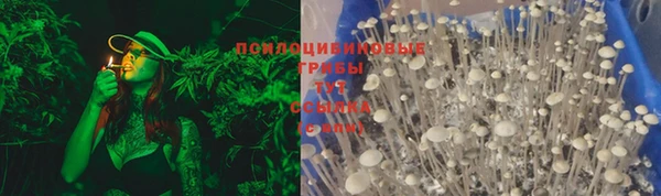 спайс Аркадак
