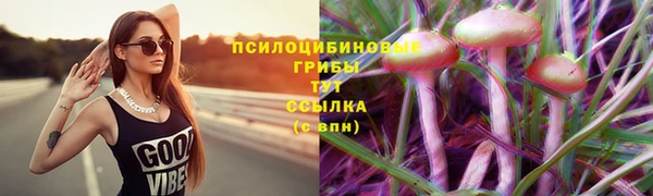 кокаин Арсеньев