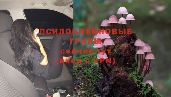 кокаин Арсеньев