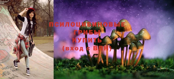 спайс Аркадак